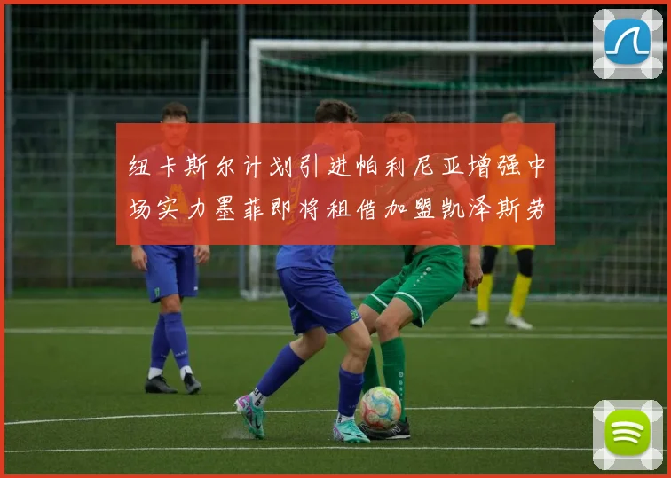 纽卡斯尔计划引进帕利尼亚增强中场实力墨菲即将租借加盟凯泽斯劳滕