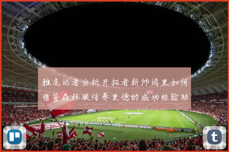雅虎记者分析开拓者新帅诺里如何借鉴森林狼培养里德的成功经验助力杨瀚森