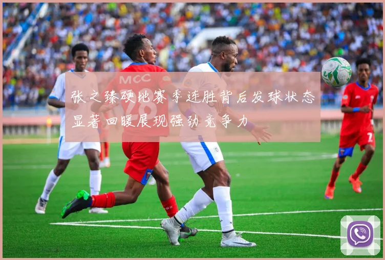 张之臻硬地赛季连胜背后发球状态显著回暖展现强劲竞争力